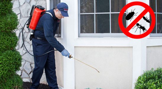 Çiğli Böcek ve Haşere İlaçlama böcek ilaçlama ve haşere kontrolü — ilaclama-tr.com